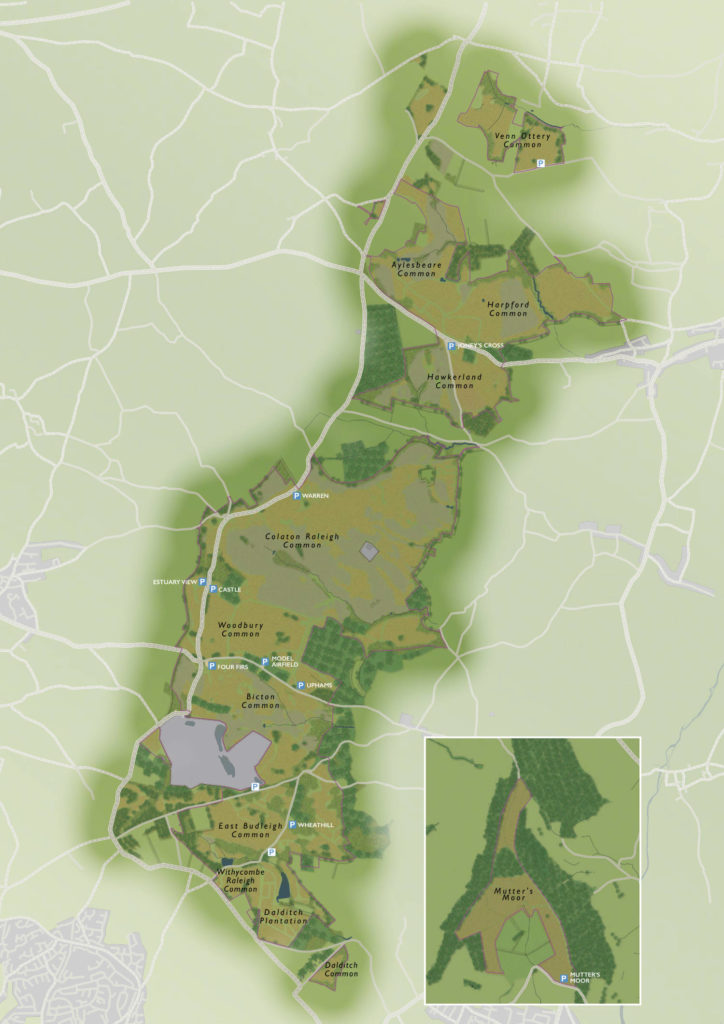 Pebblebed Heaths Area Map